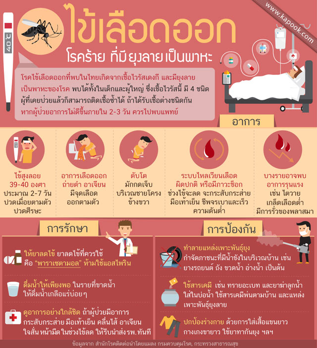 ไข้เลือดออก ไข้เลือดออก
